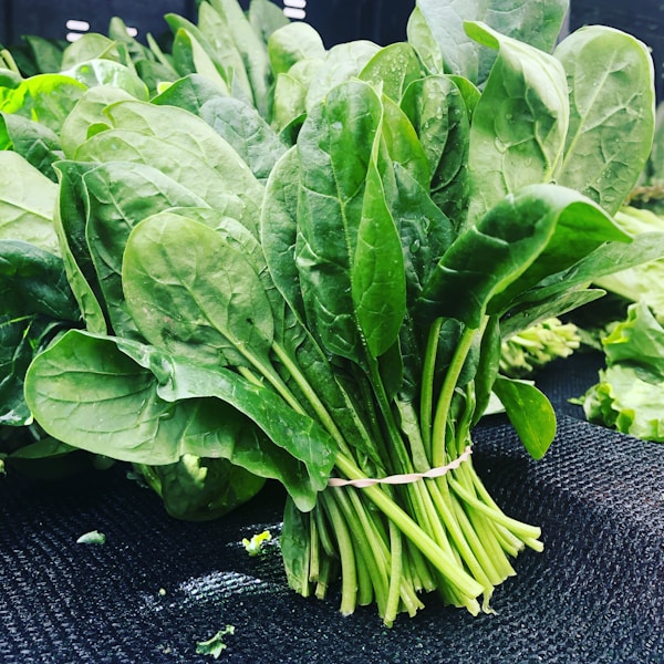 Organic Spinach Bunch (250g)